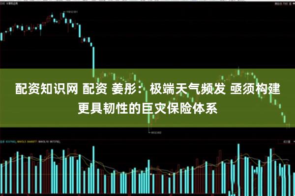配资知识网 配资 姜彤：极端天气频发 亟须构建更具韧性的巨灾保险体系
