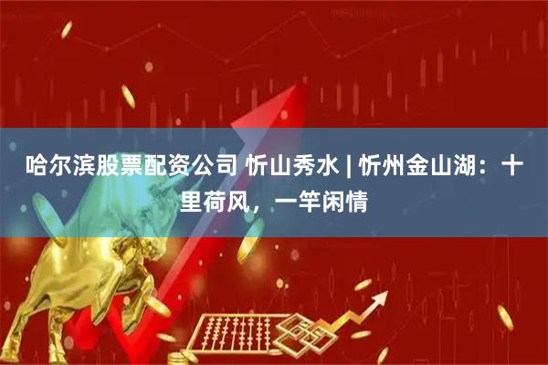 哈尔滨股票配资公司 忻山秀水 | 忻州金山湖：十里荷风，一竿闲情